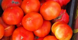 Quality, seasonal products. We have 2 solar plants full
