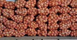 I am selling 300 tons of onions caliber 5+