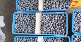 Продам органическую чернику
