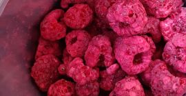 Freeze-dried raspberries whole/powder