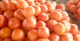 Suntem producători consacrați de roșii. Produsele noastre sunt roșii