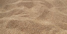 Ich werde PATRAS-Weizen aus der Ernte 2023 in einer