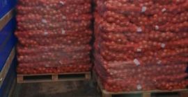 The company carries out wholesale sales of onions, harvest
