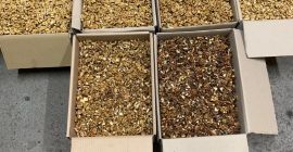 We are a direct exporter of walnuts from Ukraine