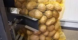 Hello . I will sell edible potatoes - Gala