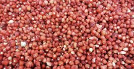 I will sell high-quality frozen wild strawberries Quantity 4