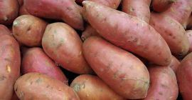 I will sell sweet potatoes in wholesale quantities. Packed