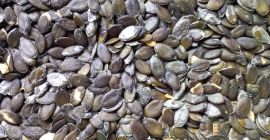 I am selling shellless pumpkin seeds, Gleisdorfer variety.