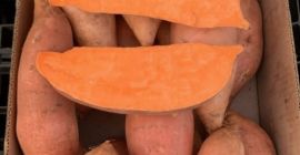 Direct sourcing top quality sweet potatoes from Egyptian farms.