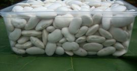 large white beans, 70-80 pieces/kg, produced using ecological methods,