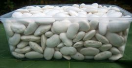 fagioli bianchi grossi, 70-80 pezzi/kg, prodotto con metodi ecologici,