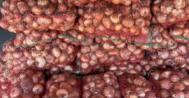 Romanian Onion Packed in 10 KG bags