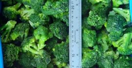 Jó minőségű IQF fagyasztott brokkoli jó áron, Egyiptomból 676