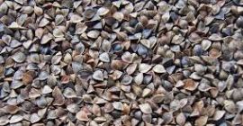 I WILL SELL 6 TONS OF BUCKWHEAT IN BIG-BAGS
