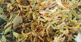 I am selling Linden blossom with BIO certificate, rosehip