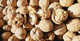 Attualmente vendiamo 70 tonnellate di noci Fernor in guscio