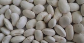 Hello, Our company offers white beans Jaś karłowy, whole