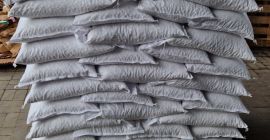 Beans available all season, 100/130 -100 grams Packed 1000