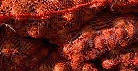 Rote Zwiebeln aus Ungarn zu verkaufen. Größe: 40-80 mm