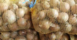 I sell yellow onions, size 4-9, packed in 15