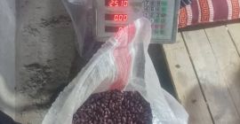 Vendiamo fagioli sbucciati della varietà Royal (Tashkent) dall&#39;Uzbekistan. Vendemmia