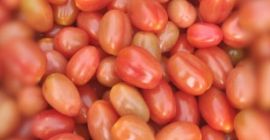 Я продаю грушевые помидоры черри из южной части Испании,
