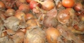 CIPOLLA GIALLA - DA PELARE - CALIBRO CIRCA 60%