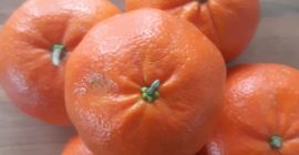I will sell tangerines from Adana/Türkiye in large quantities.