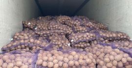 Compania noastra ofera spre vanzare cartofi de diferite soiuri