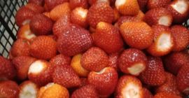 Нужен купувач за д/з реколта ягоди 2024г., половината от