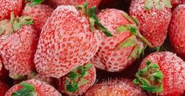 Наши ягоды собираются в экологическом регионе Украины в Карпатских