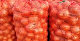 Cipolle rosse raccolto 2024, calibro 5+ di altissima qualità