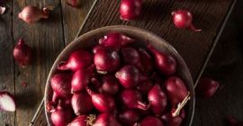 Red onion harvest 2024, caliber 5+ of the highest