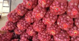 НОВИ МЛАД / НОВИ ЛУК ПОЧИЊЕ У УЗБЕКИСТАНУ Почиње