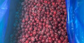 fagyasztott cseresznye exportja Üzbegisztánból