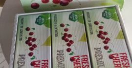 frozen cherries export from Uzbekistan
