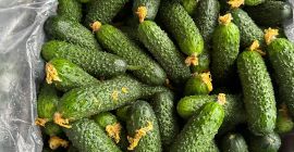 Hello, I offer for sale greenhouse cucumbers (long smooth