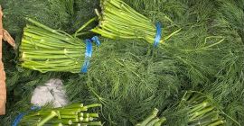 We sell fresh dill with permanent import, the possibility