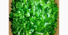 Parsley import. Collection and transport of 12 - 24