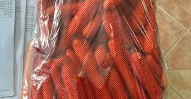 frische Karotten