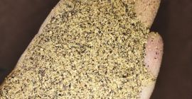 Rapeseed meal, loose, 34-37% Protein, bulk, min 22t. Price