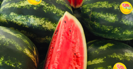 Sales of high-quality watermelons have begun +[phone number] +[phone