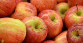 Agro cars LTD offers apples of various varieties of