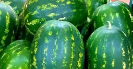 Wassermelone. .aus Marokko[Telefon] haben wir auch Melonen.