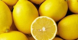 Circa 25.000 chili di limone Verna di buone dimensioni