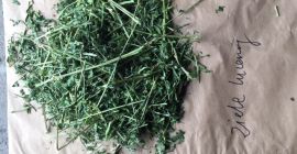 I will sell alfalfa herb dried in a dryer