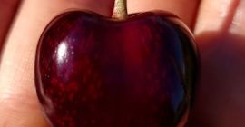 Ciao, ti invito al frutteto di famiglia CHERI ORCHARD