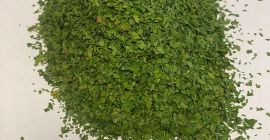 Oferim spre vanzare patrunjel uscat. Culoare verde, miros intens,