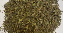 Oferim spre vanzare menta. Aromatic, culoare verde închis. Ambalare