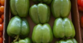 California peppers from Morocco